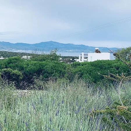 Nena's House Santa Maria Paros Holiday home *